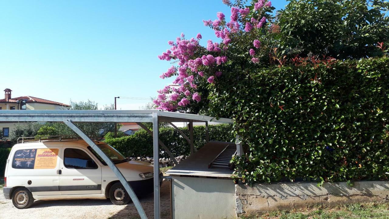 Andela Apartment Pula Dış mekan fotoğraf