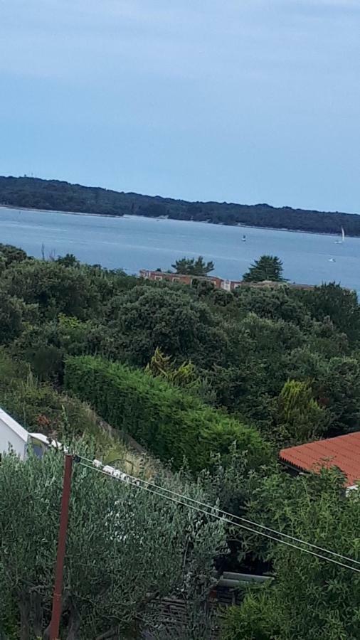 Andela Apartment Pula Dış mekan fotoğraf